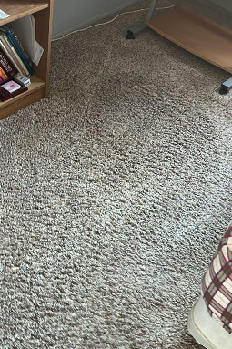 contact about carpet cleaning nj area rug cleaning nj carpet cleaning in west orange area rug cleaning in west orange contact about carpet cleaning nj area rug cleaning nj carpet cleaning in west orange area rug cleaning in west orange