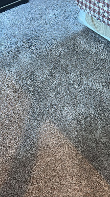 contact about carpet cleaning nj area rug cleaning nj carpet cleaning in west orange area rug cleaning in west orange contact about carpet cleaning nj area rug cleaning nj carpet cleaning in west orange area rug cleaning in west orange